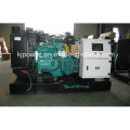 Cummins Generador Diesel Eléctrico con Canopy Silencioso (25kVA-250kVA)